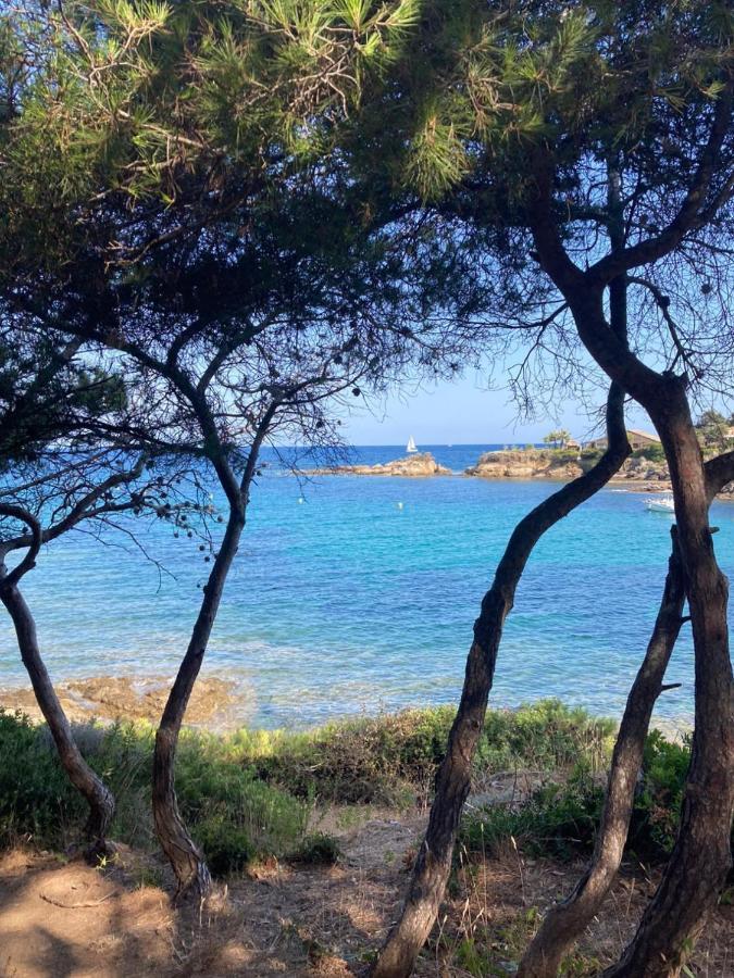Villa Mediterranea Les Issambres Esterno foto